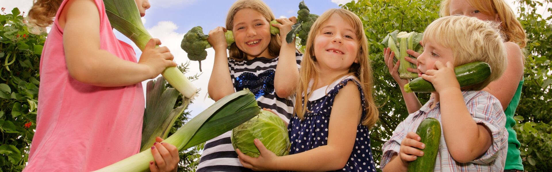 Open Farm Sunday at Elsworthy farm